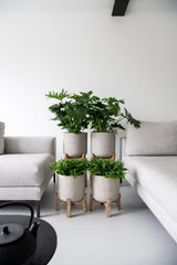 Pottery Pots Charlie Grey Washed Feet Low, featuring a textured rough feet design in a stylish grey finish. || Abgebildete Größe: L