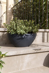 Dorant Fiberstone Schwarz Finestgreen