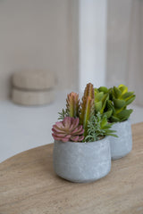 Pflanzenmix künstlich im Zementtopf (Pflanze inkl. Topf)