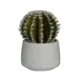 Cactus künstlich im Zementtopf (Pflanze inkl. Topf) Finestgreen