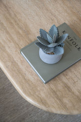 Echeveria künstlich im Zementtopf (Pflanze inkl. Topf) Finestgreen