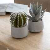 Cactus künstlich im Zementtopf (Pflanze inkl. Topf) Finestgreen