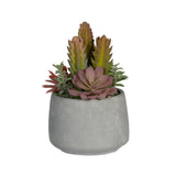Pflanzenmix künstlich im Zementtopf (Pflanze inkl. Topf)