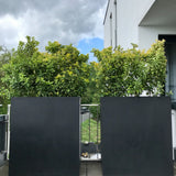 Jort Raumtrenner Fiberstone Schwarz Finestgreen