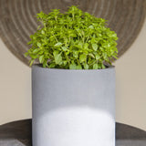 Mini Max Fiberstone Grau Finestgreen