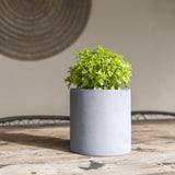 Mini Max Fiberstone Grau Finestgreen