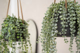 Hanging Patt Set Schwarz