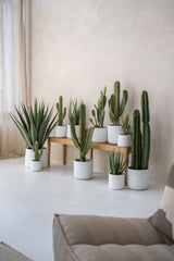 Kaktus Opuntia Künstlich H: 41cm