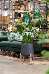 Patt Black Washed Feet Low