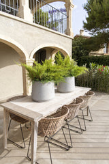 Patt Grey Washed Finestgreen