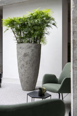 Hugo Oyster Imperial Weiß Finestgreen
