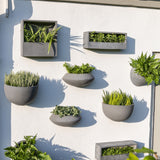 Hanging Wally Peter Grau Finestgreen