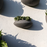 Hanging Wally Mini Tara Grau Finestgreen