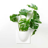 VertiPlants Wandgefäß aus pflanzlichen Materialien - Finestgreen