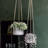 Hanging Patt Grau by Pottery Pots, featuring a textured, gray design perfect for indoor or outdoor plant displays. || Abgebildete Größen: S & M