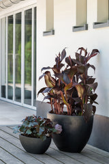 Dorant Fiberstone Schwarz Finestgreen