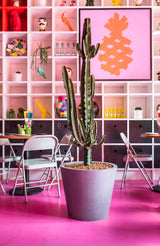 Bucket Grau Finestgreen