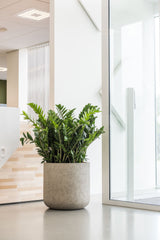 Jumbo Charlie Grey Washed Finestgreen || Abgebildete Größe: XXS