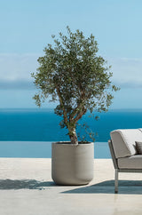 Jumbo Charlie Grey Washed Finestgreen || Abgebildete Größe: XS