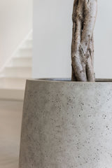 Jumbo Patt Grey Washed Finestgreen || Offenporige Betonoberfäche