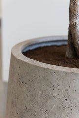Jumbo Patt Grey Washed Finestgreen || Für Innen & Außen geeignet