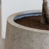 Jumbo Patt Grey Washed Finestgreen || Für Innen & Außen geeignet