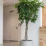 Jumbo Patt Grey Washed Finestgreen || Hergestellt aus robustem Ficonstone