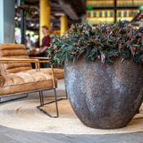 Jesslyn Oyster Imperial Braun