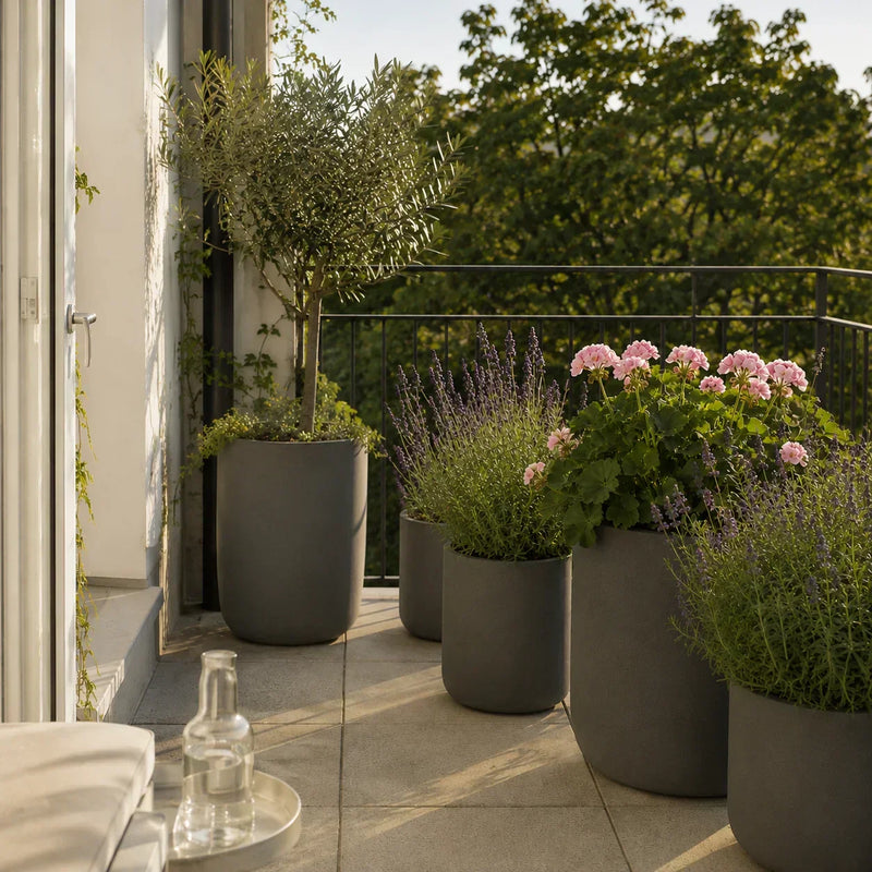 Balkon & Garten: Pflanzenpflege im Freien im Überblick
