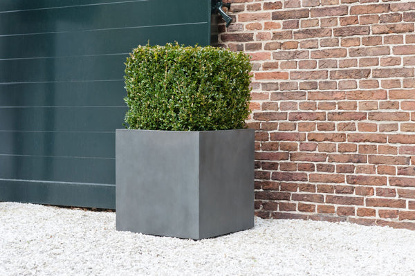 Die richtige Bepflanzung