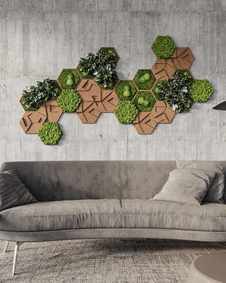 Hexagon Moosbilder