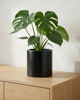 Tisch & Sideboard