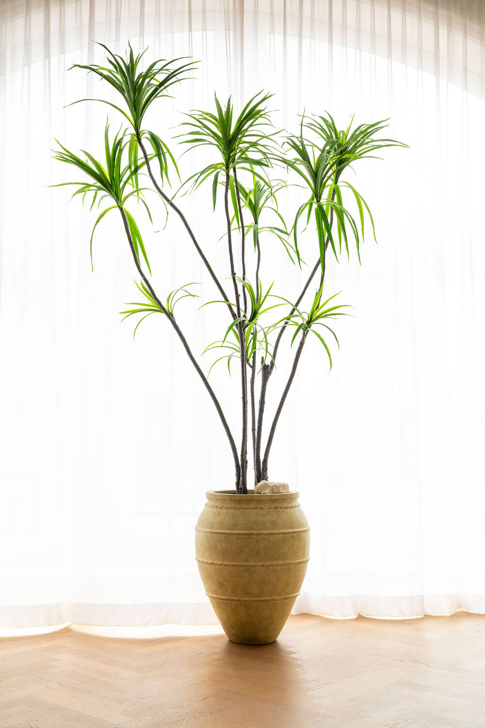 Dracaena Marginata künstlich - roter Rand, H:230cm