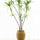 Dracaena Marginata Kunstpflanze XL 230cm - Finestgreen