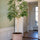 Ficus Alii Baum Kunstpflanze XL 230cm - Finestgreen