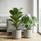 2x Charlie Grey Washed Ø:25 cm Finestgreen 