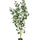 Ficus Triangularis Baum Kunstpflanze L 180cm - Finestgreen