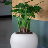 Stream Elemental - Seidenweiß Finestgreen 