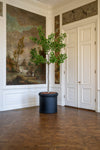 Ginko Biloba Baum Kunstpflanze XL 270cm