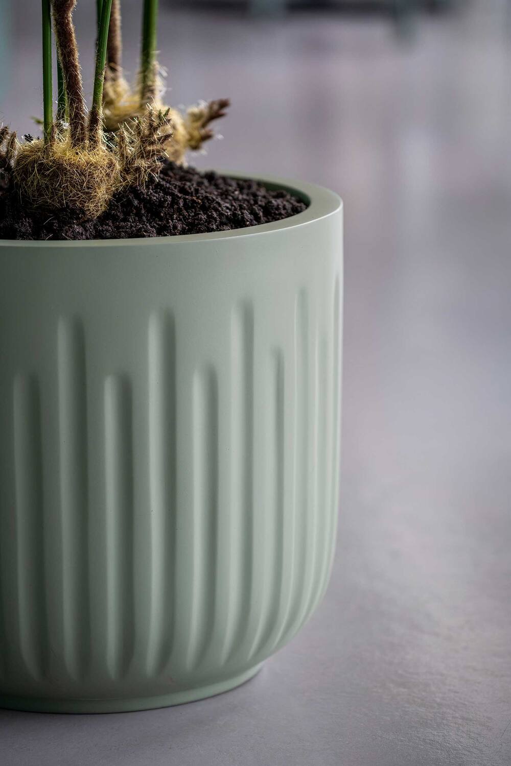 Blumentopf Arcus Salbeigrün aus Fiberglas - Wasserdicht