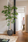 Buchida Bucera Shady Lady Baum Kunstpflanze XL 280cm