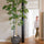 Buchida Bucera Shady Lady Baum Kunstpflanze XL 280cm - Finestgreen