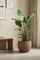 Abby Straw Grass Finestgreen 