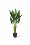 Alocasia Taro Künstlich H: 120cm
