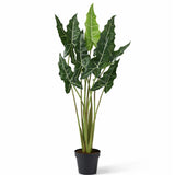 Alocasia Taro Künstlich H: 120cm Finestgreen 