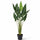 Alocasia Taro Künstlich H: 120cm Finestgreen