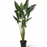 Alocasia Taro Künstlich H: 140cm Finestgreen 