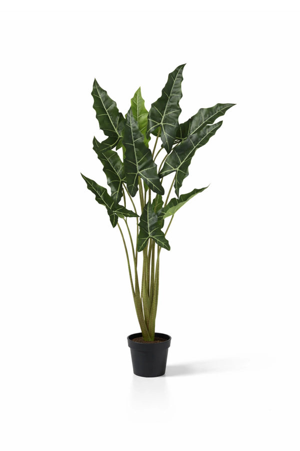 Knstliche Pflanzen fr Zuhause & Bro | finestgreen  Finestgreen
