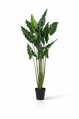 Alocasia Taro Künstlich H: 160cm Finestgreen 