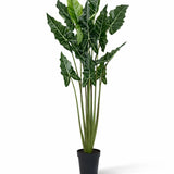 Alocasia Taro Künstlich H: 160cm Finestgreen 